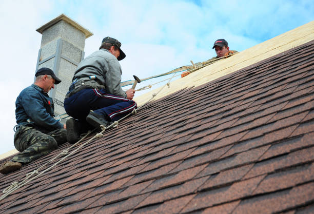 Best Roof Replacement Cost  in Pine Hill, NJ